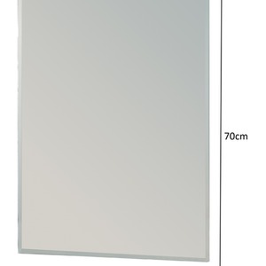 Fairmont Rectangular Mirror - Mirror / 60cm by Showerdrape