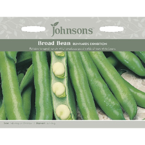 Pack of Bunyards Exhibition Broad Bean Seeds by Johnsons