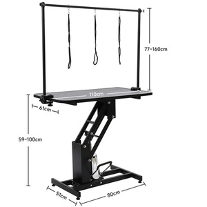 Hydraulic Adjustable Pet Grooming Table - Black by Kidkid