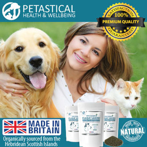 Petastical Plaque Vanish, Plaque Off Dogs, Cats, Banish Plaque Remover by Petastical