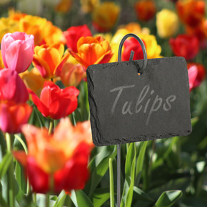 Set of 10 Slate Plant Labels and Chalk - Slate by Maison & White