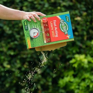Gro-sure Fast Acting Lawn Grass Seed - Buy 1 by Gro-Sure