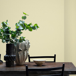 Craig and Rose Chalky Matt Emulsion by Craig & Rose