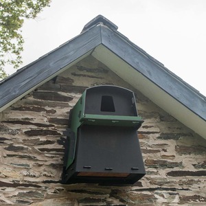 Eco Barn Owl Nest Box - Green by Nestbox Co