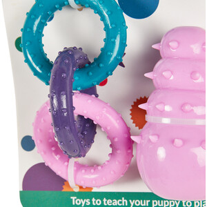Pack of 3 Clever Paws Puppy Toys by Clever Paws
