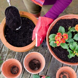 Laeto Your Signature Garden Top Soil - White / 35l by Laeto