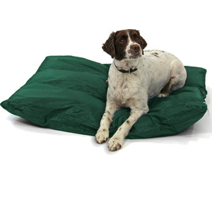Waterproof Dog Bed - Green / L by Actiaspet