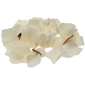 Silk Rose Petal Table Confetti - Cream by Kingsbury Gifts