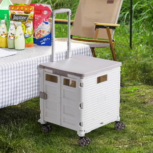 Folding Shopping Trolley with Magnetic Lid by lifeideas