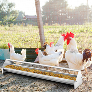 Long Chicken Feeder - Silver by Costway