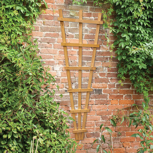 Fan Wall Trellis by Forest Garden