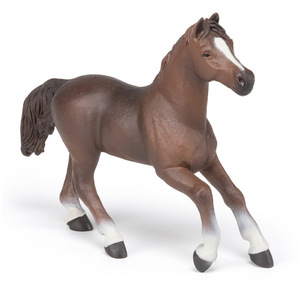 PAPO Horse and Ponies Anglo-Arab Mare Toy Figure - Brown by PAPO