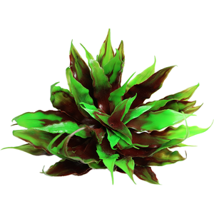 Swell Reptiles Cactus Plant - Green by Swell Reptiles