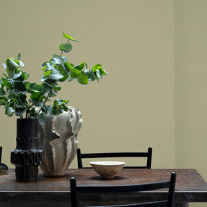 Craig and Rose Chalky Matt Emulsion by Craig & Rose