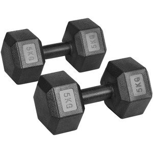 Set of 2 Dumbbells for Strength Training Aerobic - Black / 10kg by Yaheetech