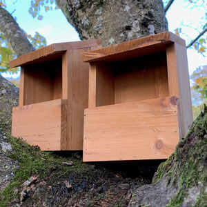 Wooden Robin Birdhouse Garden Nest Boxes - Brown by Selections