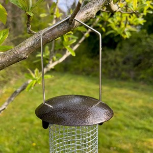 Hanging Nut Bird Feeder For Bird Feeding Stations - Brown by Selections