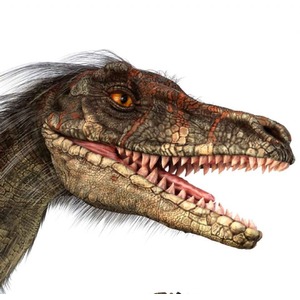 Dinosaur Torch and Projector - Dinosaurs by JBL Global