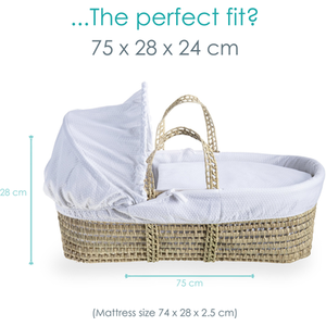 Cotton Dream Palm Moses Basket - White by Clair de Lune