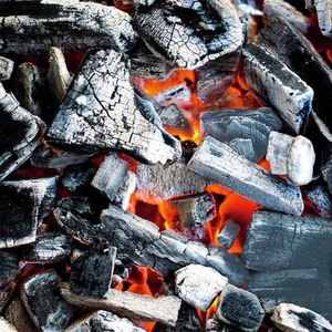 Applewood Lumpwood BBQ Charcoal - Black / 2 by Warma