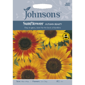 Pack of Autumn Beauty Sunflower Seeds by Johnsons