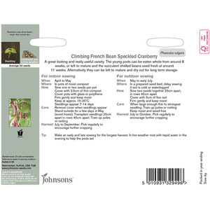 Climbing French Bean Speckled Cranberry by Johnsons