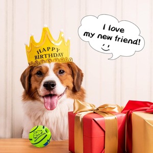 Pet Sound Ball Durable Dog Toy - Green by Dyzi