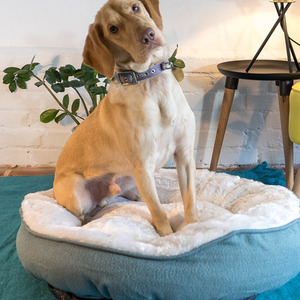 High Sided Deep Filled Donut Bed - Grey / 52cm by Dream Paws