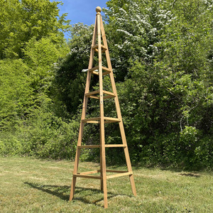 Tall Wooden Garden Obelisk - Brown / 1 by Selections