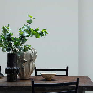 Craig and Rose Chalky Matt Emulsion by Craig & Rose