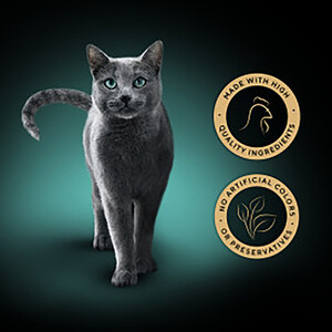 Sheba Filets in Gravy - Chicken by Sheba