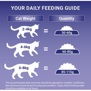 Purina ONE Adult Dry Cat Food - 800g / Chicken and Whole Grains by Purina ONE