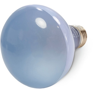 Swell Reptiles Neodymium Daylight Spot Lamp by Swell Reptiles