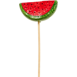 Fruit and Veg Garden Stakes