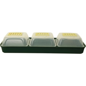 Windowsill Propagator Set - Green by Whitefurze