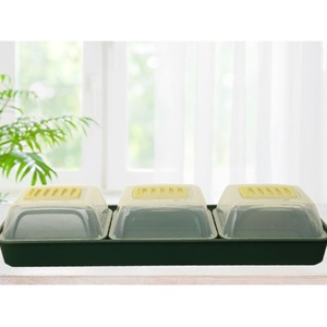 Windowsill Propagator Set - Green by Whitefurze