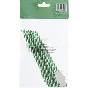 Pack of 10 Dinosaur Party Straws - Green