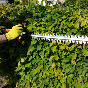 Cordless Hedge Trimmer 20V Lightweight Handheld - Orange by Terratek