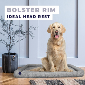 Dog Crate with Bed - Black / M by DogCratesPlus