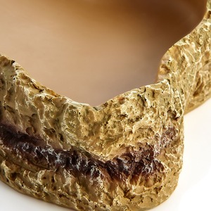 Swell Reptiles Food Dish by Swell Reptiles