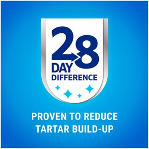 Dentalife Big Pack Sticks - Large by Dentalife