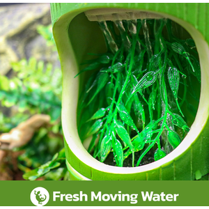 Swell Reptiles Bamboo Drinking Fountain - Green by Swell Reptiles