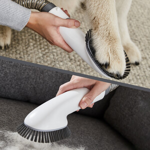 Pet Grooming Vacuum by Daewoo