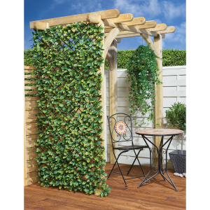 Expanding Laurus Screen - 4.4kg by My Garden