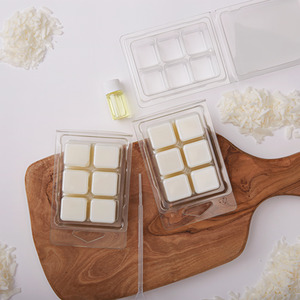 Bee and Bumble Soy Wax Melts Craft Kit - Multiple Colours by Bee Bumble