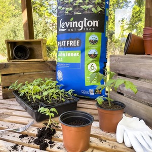 10L John Innes Compost No1 Peat Free - Brown by Levington