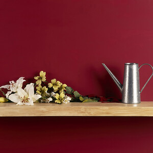 Craig and Rose Chalky Matt Emulsion by Craig & Rose