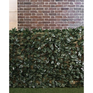 Dark Green Ivy Screen - Green by My Garden