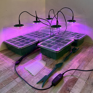 Plant Propagator Seed Tray Set with Full Spectrum USB Grow Lights - Green by Selections