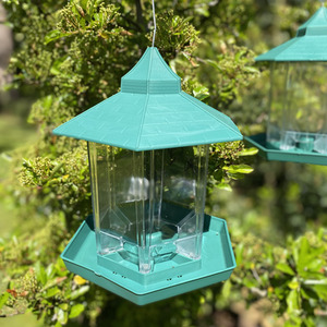 Durlston Green Chalet Bird Seed and Nut Feeder - Green by Selections
